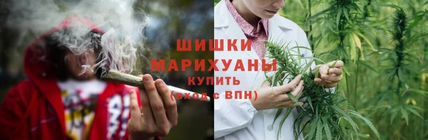PSILOCYBIN Балабаново
