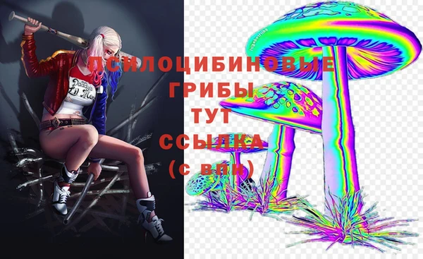 амф Балахна