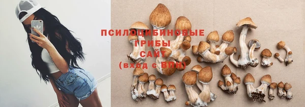 PSILOCYBIN Балабаново