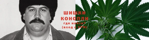 PSILOCYBIN Балабаново
