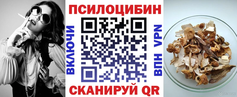 Галлюциногенные грибы Psilocybine cubensis  Называевск 